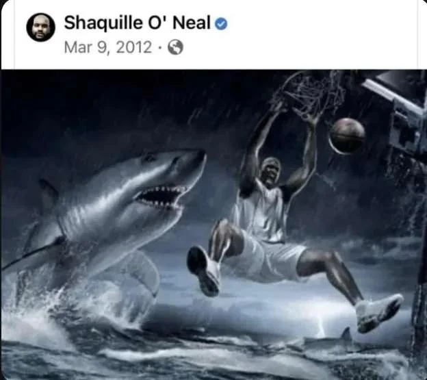shaq shark